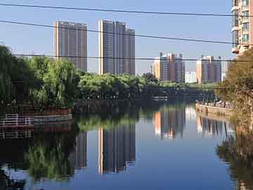 2024澳门天天开彩结果_容湛慕绾绾最新更新,精准解答方案详解_悬浮版4.62.784