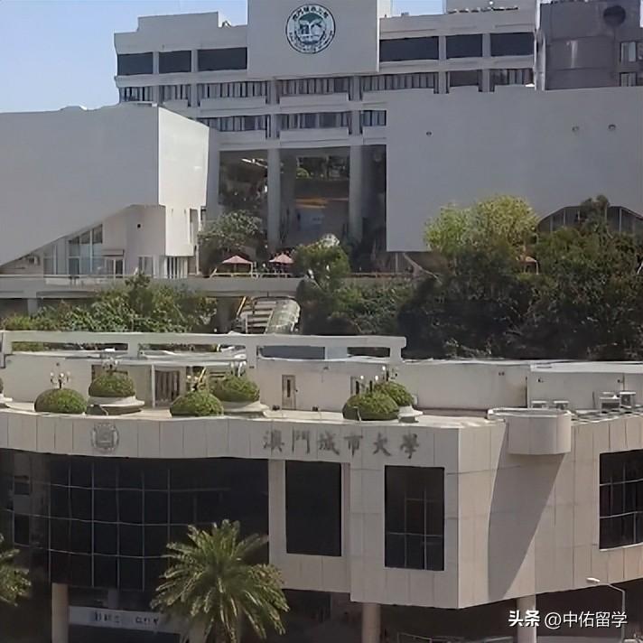 第517页
