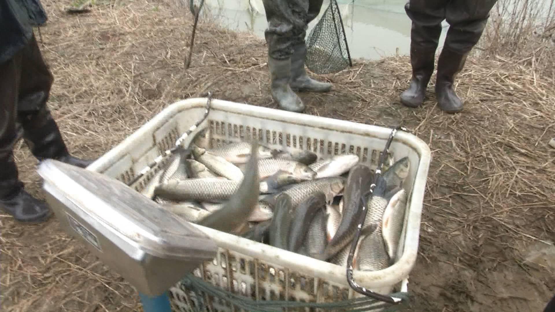 第404页