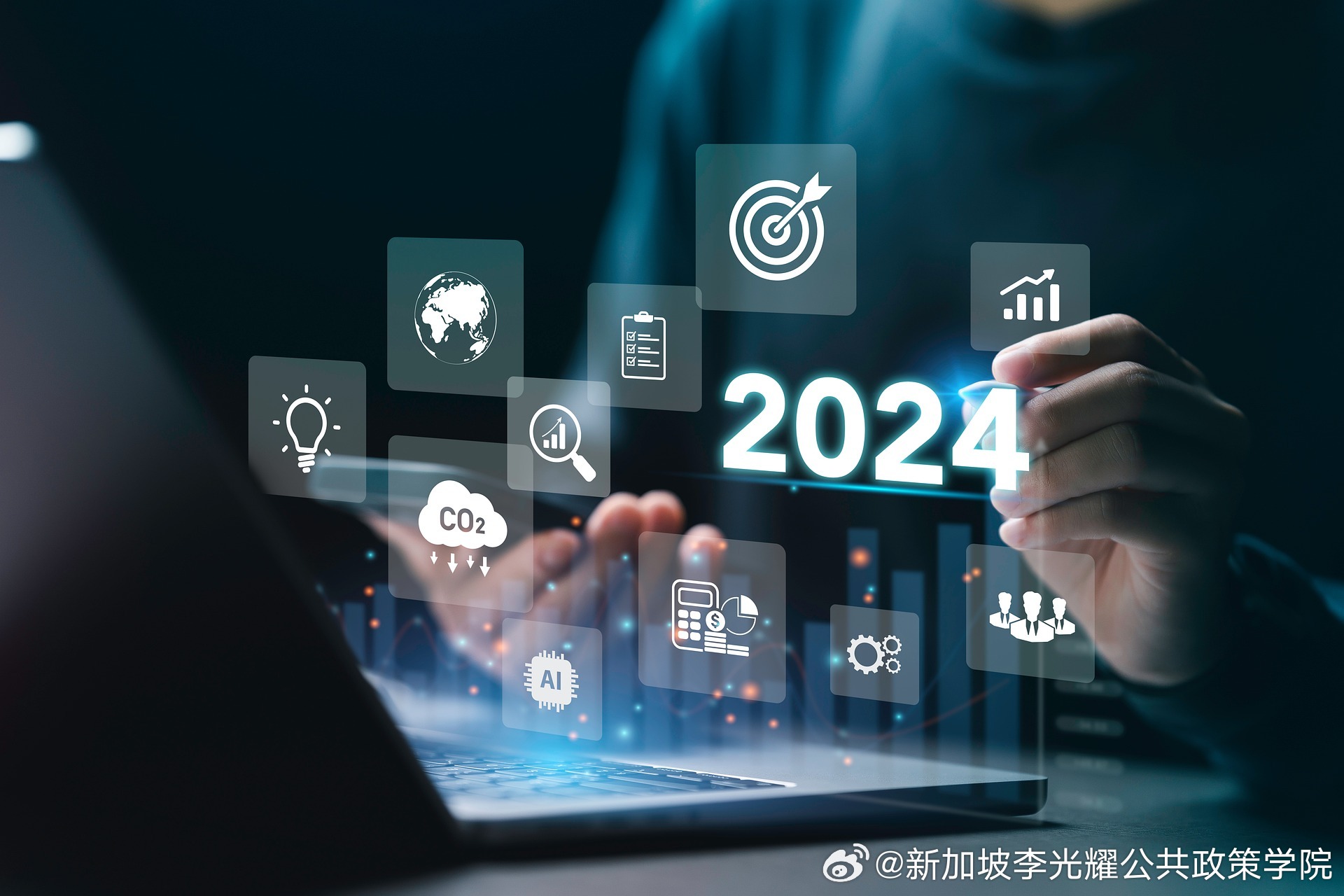 仁果类水果 第17页