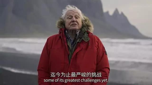 香港电视演员探寻自然美景之旅，内心平和宁静的追寻