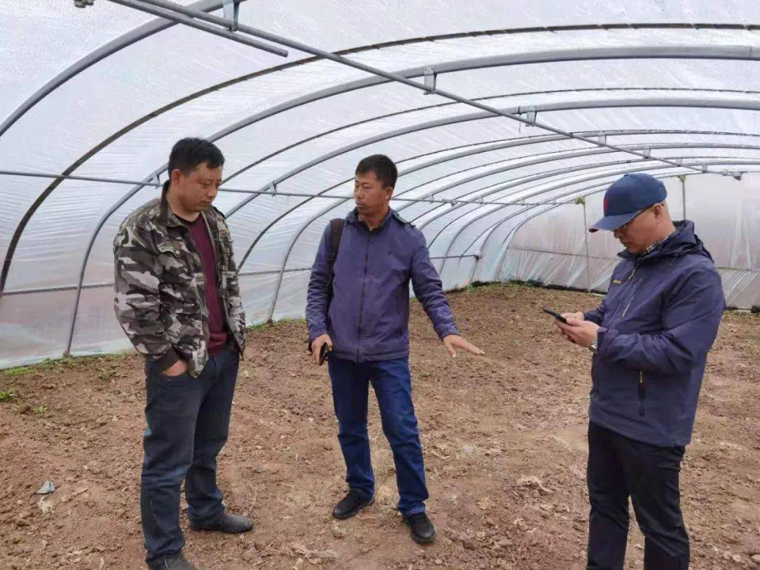 黄桃季节的学习之旅，收获自信与成就的成长之路