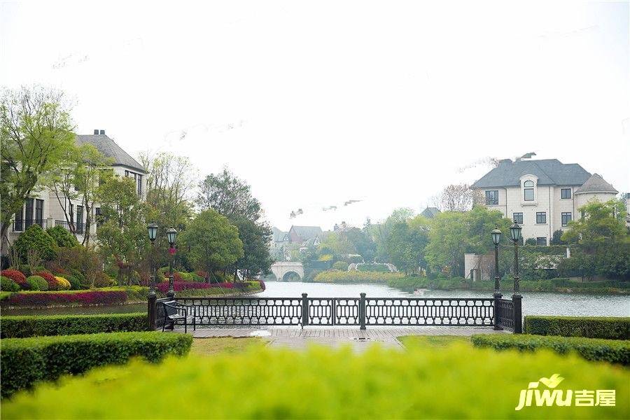 仁果类水果 第11页