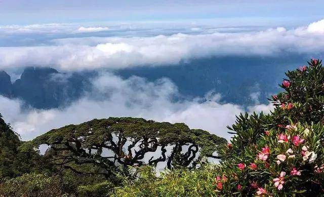 尤彩琳最新之旅，探寻自然美景，内心平和的寻觅之路